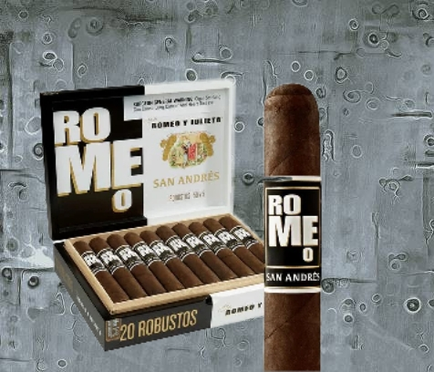 Romeo San Andres by RyJ Robusto 5.0 × 50.0 - Afterburner Cigar store